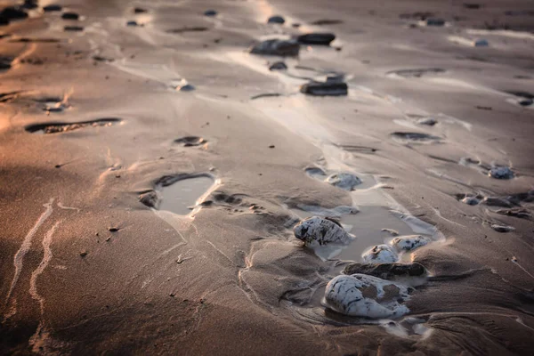 サンセットのビーチの小石 — ストック写真