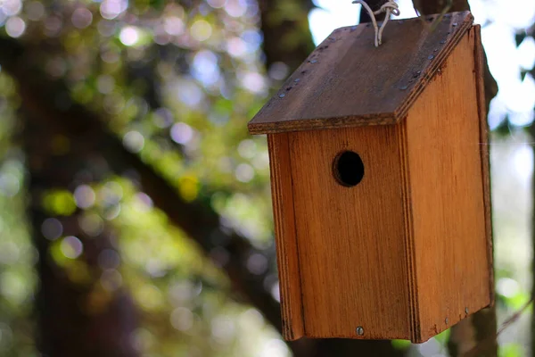 Houten Birdhouse Hing Een Boom Het Midden Van Het Bos — Stockfoto