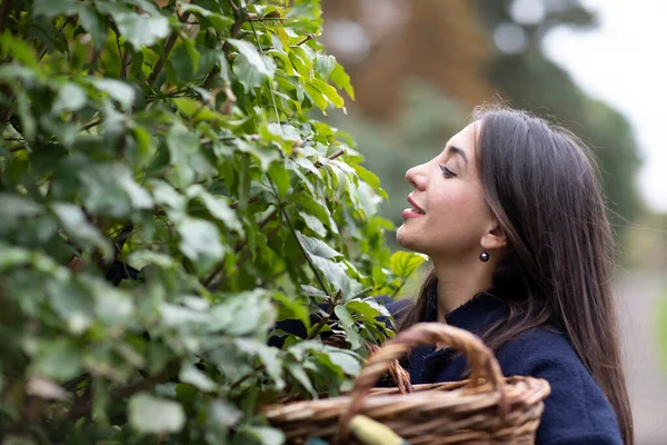 stock image young woman gardening outdoors