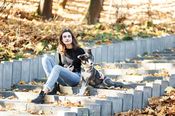 若い女性が秋の公園で犬を散歩していて — ストック写真