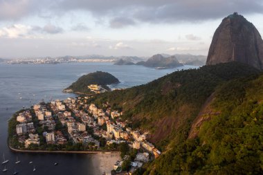 Brezilya Rio de Janeiro 'daki Sugar Loaf Dağı ve yeşil yağmur ormanlarının güzel hava manzarası