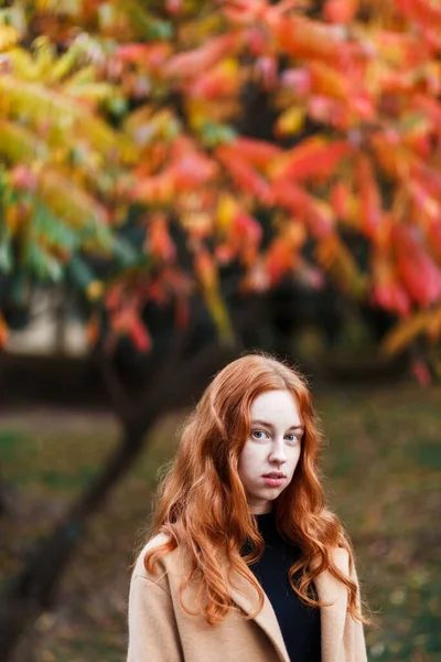 Stijlvolle Roodharige Vrouw Een Jas Wandelt Een Zonnig Park Herfst — Stockfoto