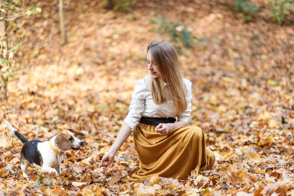 若いブロンドの女の子は秋の公園でビーグル犬と遊ぶ — ストック写真