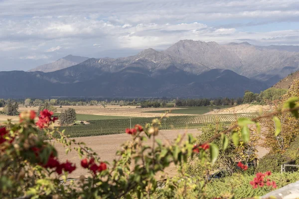 背後にアンデス山脈 チリのサンティアゴ近郊のワイナリーで田園地帯を開く美しい景色 — ストック写真