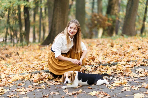 Genç kadın sonbahar parkında bir av köpeğini gezdiriyor.