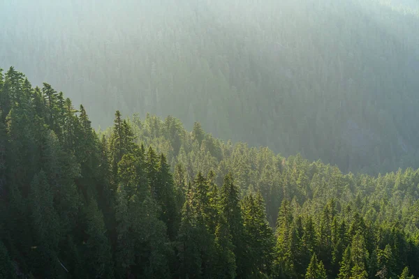 Washington, 2019 'da gün batımı.