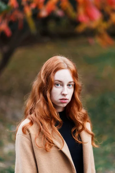 아름다운 머리의 여자가 가을에 양지바른 공원에서 코트를 다닌다 — 스톡 사진