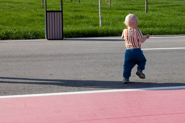 Kisfiú Sétál Aszfaltozott Úton Parkból Hátulról — Stock Fotó