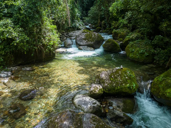 Bela Vista Para Piscina Fluvial Mata Atlântica Verde Selvagem Serrinha — Fotografia de Stock