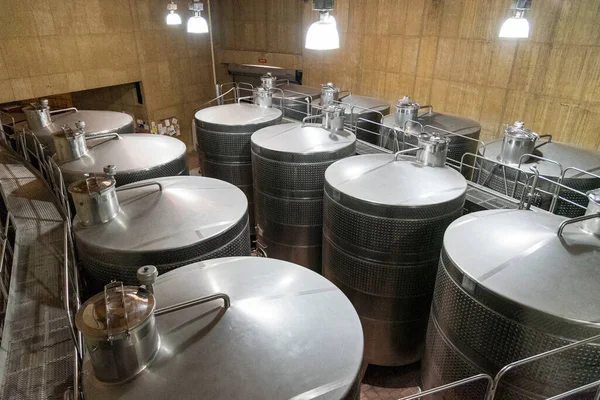산티아고의 포도주 양조장에서 바라본 아름다운 — 스톡 사진