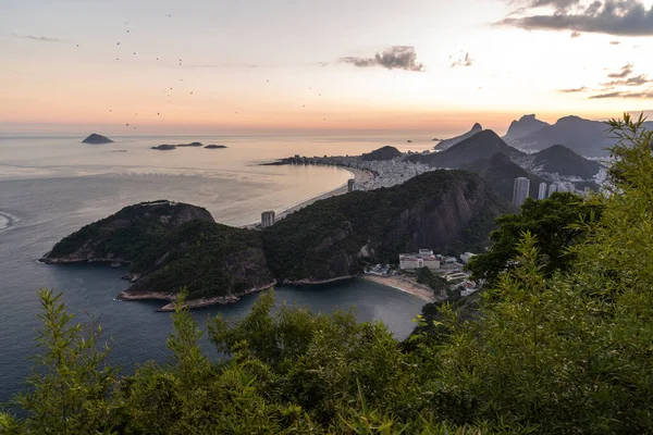 Beautiful view from Sugar Loaf Mountain to ocean, green rainforest and city buildings, Rio de Janeiro, Brazil