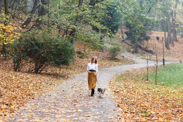 Młoda Kobieta Wyprowadza Psa Gończego Jesiennym Parku — Zdjęcie stockowe