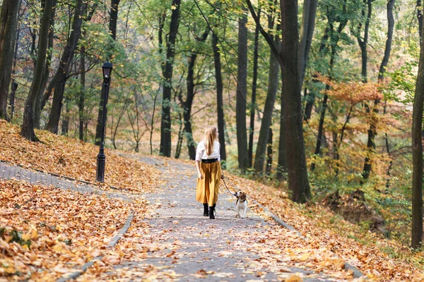 Genç Kadın Sonbahar Parkında Bir Köpeğini Gezdiriyor — Stok fotoğraf