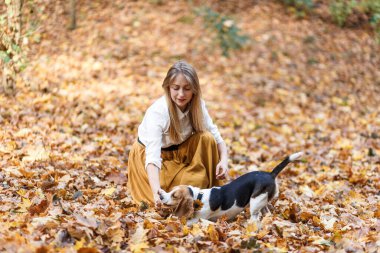 Genç sarışın kız sonbahar parkında av köpeğiyle oynuyor.