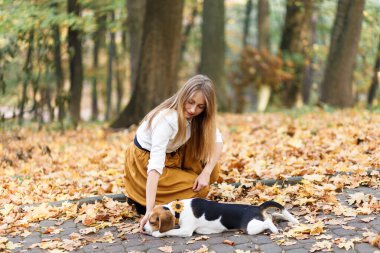Genç kadın sonbahar parkında bir av köpeğini gezdiriyor.