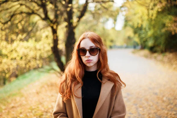 아름다운 머리의 여자가 가을에 양지바른 공원에서 코트를 다닌다 — 스톡 사진