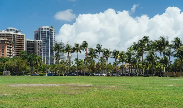 Park Mit Bäumen Kokosnusshain Stadt Miami Sommer — Stockfoto
