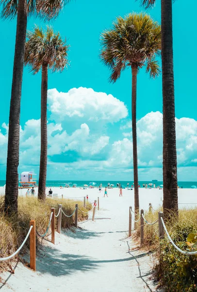 Пляж Пальмами Рай Майами — стоковое фото