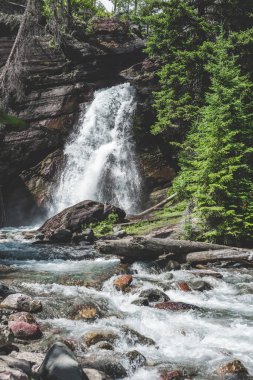 Montana 'nın vahşi doğasında akan görkemli şelale.