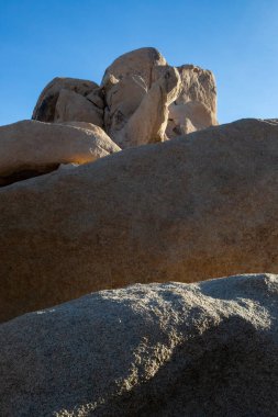 Eski ışık Joshua Tree 'nin kayalarının dokularını vurguluyor
