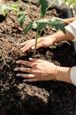 Dikkatli ol, bahçedeki verimli topraklarda genç bir bitkiyi besle.