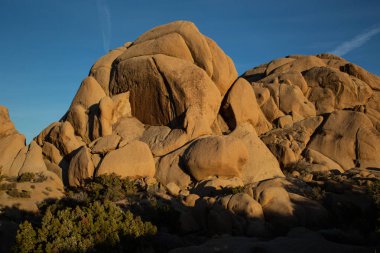 Altın saat Joshua Tree 'deki kayaları aydınlatıyor