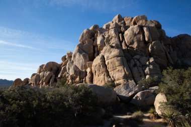 Joshua Tree Parkı 'nda mavi gökyüzü altında çarpıcı kayalar.