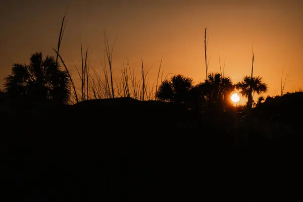 Silhouettes Coucher Soleil Dans Crépuscule Tropical Chaud Serein Images De Stock Libres De Droits