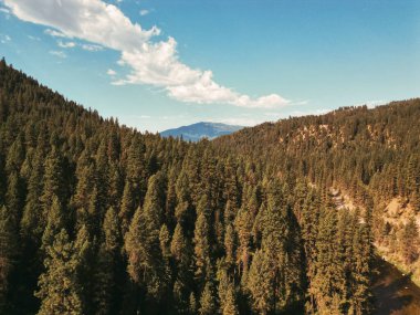 Dağ manzaralı Çam Ağacı Vadisi