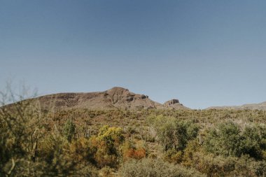 Kaktüs Kaya Tepesi 'nin yanında Gökyüzüne Karşı