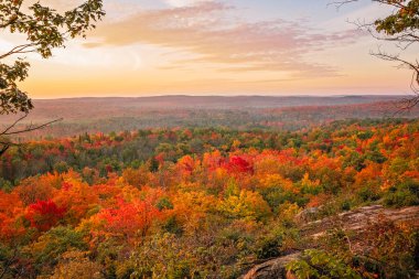 Vibrant Autumn: Exploring Nature's Palette in Fall Colors clipart