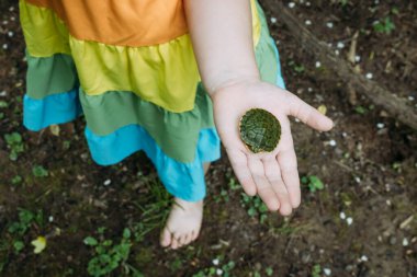 Kaplumbağayı kucağında tutan çocuğa bakıyorum.