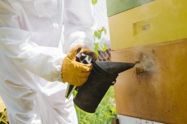 Güneşli havada bahçede arı yetiştiricisi kovanla ilgilenir.