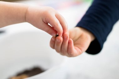 Çocuklar birlikte yemek yaparken çikolata parçalarını paylaşıyorlar.