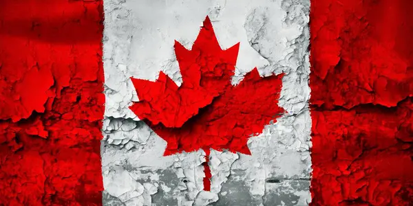 Kanada Bayrağı Grunge Çatlağı Duvarda Stok Fotoğraf