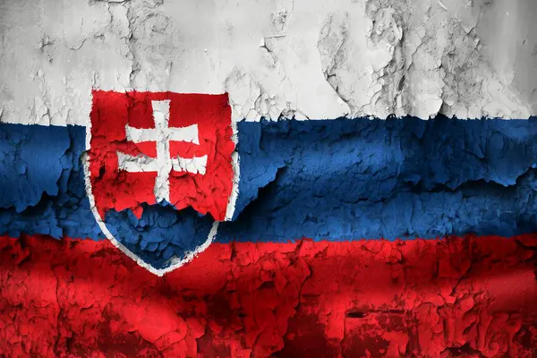 Grunge Çatlağındaki Bir Slovakya Bayrağının Boyutlu Görüntüsü Stok Resim