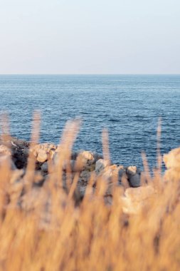 Akdeniz 'de gün batımında kayalar ve bitkilerle