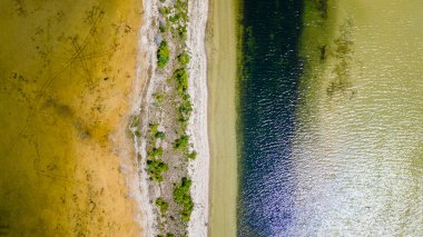 Detailed Aerial View of Oliphant Coastline and Vegetation, Ontario clipart