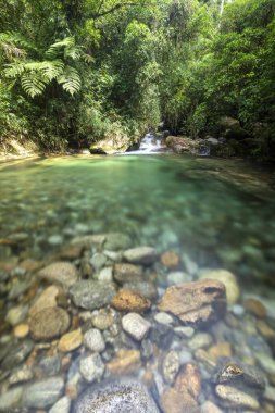 Taşlı ve yeşil yağmur ormanlı güzel bir şelale.