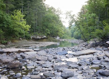 Wolfpen 'de gür orman zeminli bir nehir yatağı.
