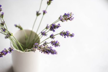 Bukette lavanta çiçekleri