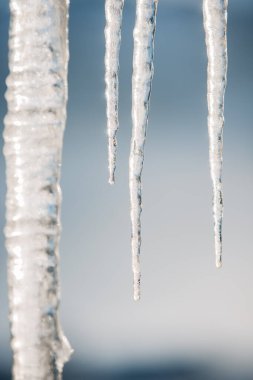 Buz saçaklarının yakın plan görüntüsü bulanık bir kış arkaplanına karşı