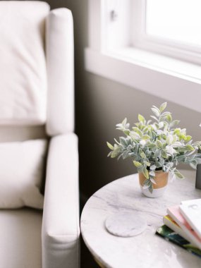 Mermer masa ve saksı bitkisi ile samimi modern iç mimari