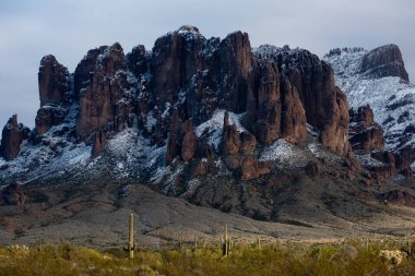 Batıl inanç Dağlarında Saguaro Kaktüsü