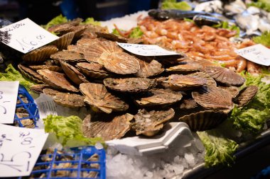 Venedik, İtalya pazarında deniz tarakları