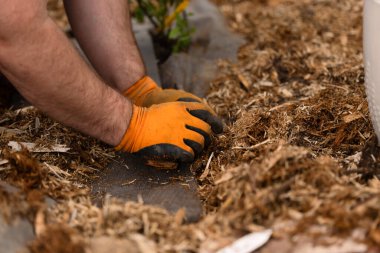 Doğa 'nın Bahçesini Özenle Yetiştirmek