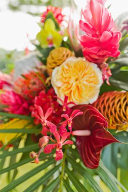 Protea, orkideler ve daha fazlası ile tropikal renkli çiçek görüntüsü