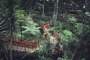 Funchal botanik bahçesinde kırmızı yol