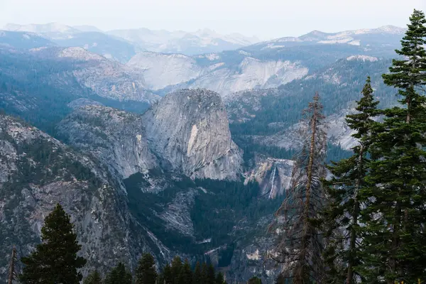 Yosemite Vadisi 'nin önünde granit kayalıklar ve orman var..