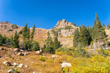 Mount Massive Wilderness, Colorado 'da klasik manzara.